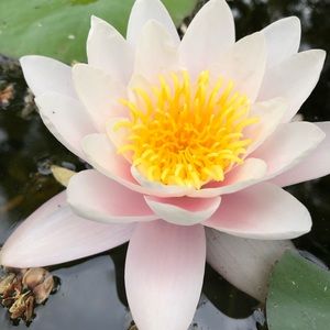 Meet your Posher, Katherine